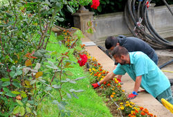 Archivo-jardineros-Realserv