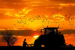 sunset-5004886_1920