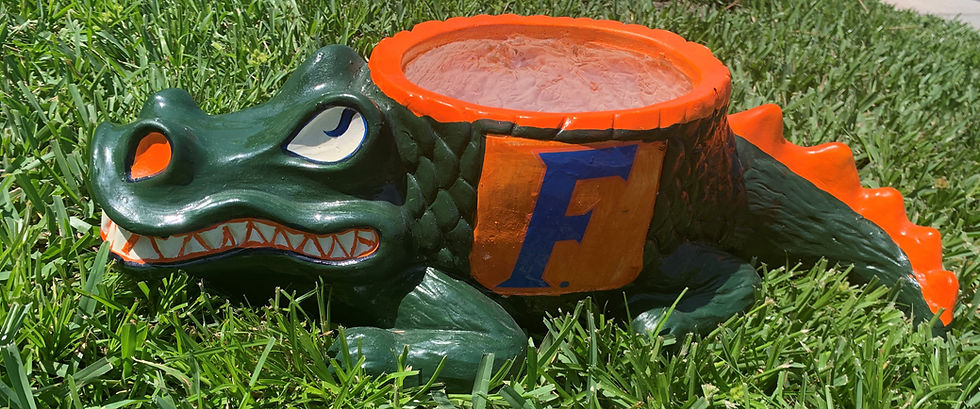 Thumbnail: University of Florida Whimsical Gator Planter