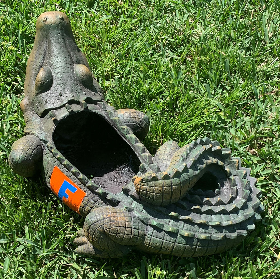 Thumbnail: University of Florida ALBERT Gator Planter