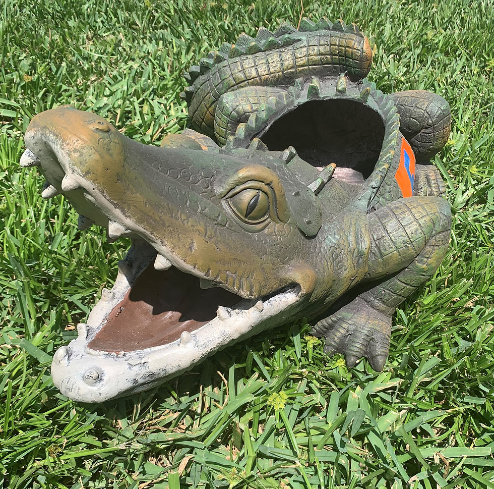 Thumbnail: University of Florida ALBERT Gator Planter