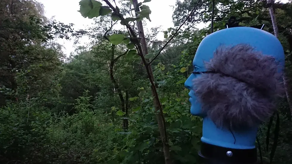 binaural dummy head