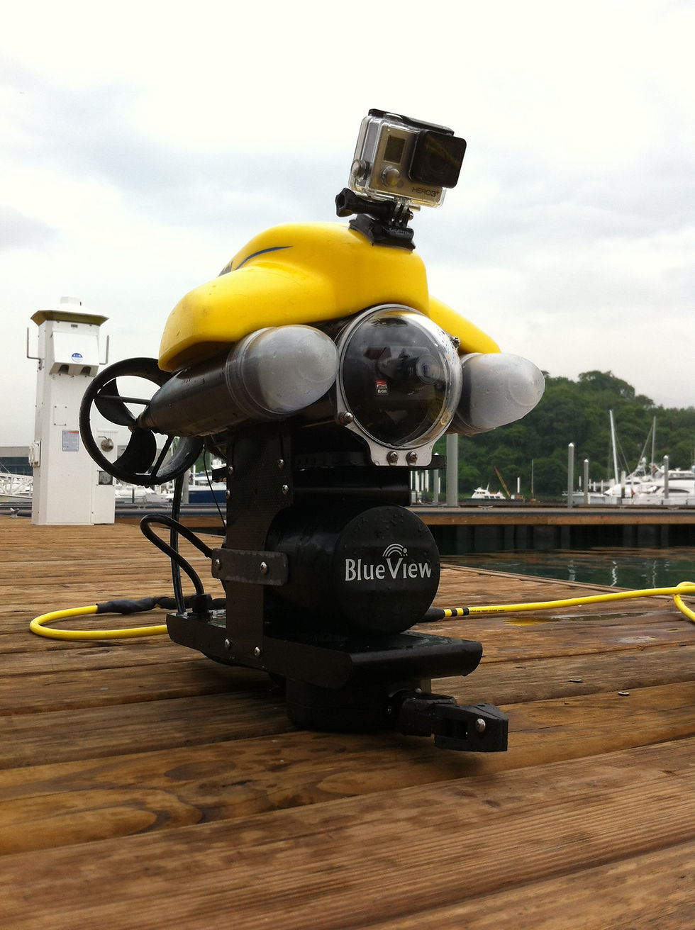 Camara Submarina