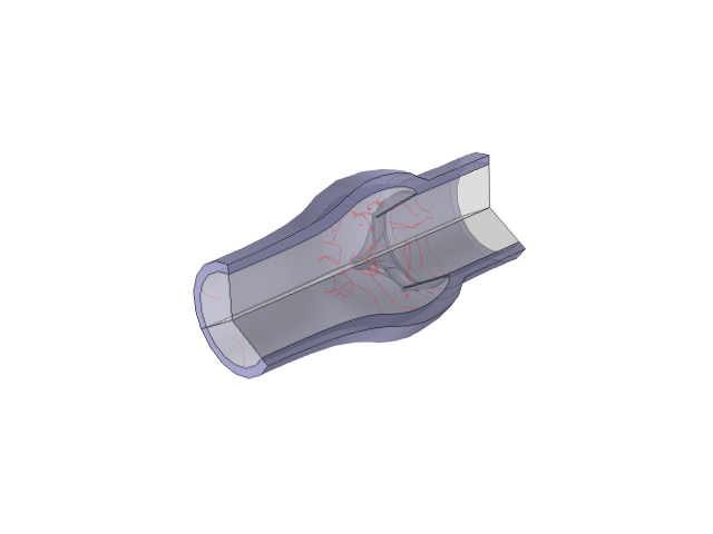 ValveAortic3D.gif