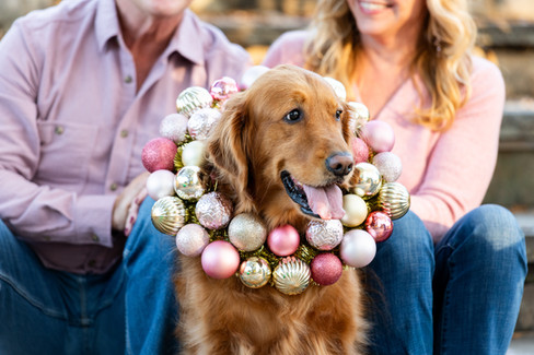 Holiday Family Photos with golden retriever dog in Downtown Belmont, NC at Stowe Park & Main Street.