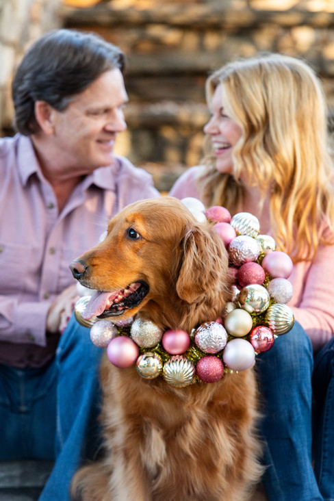 Holiday Family Photos with golden retriever dog in Downtown Belmont, NC at Stowe Park & Main Street.