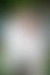 Rustic Summer Wedding at The Farmhouse Siloam in Mount Airy, NC | Charlotte Event Photographer