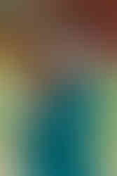 Charlotte Family Photographers.