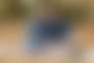 engagement photography at jetton park in cornelius nc.