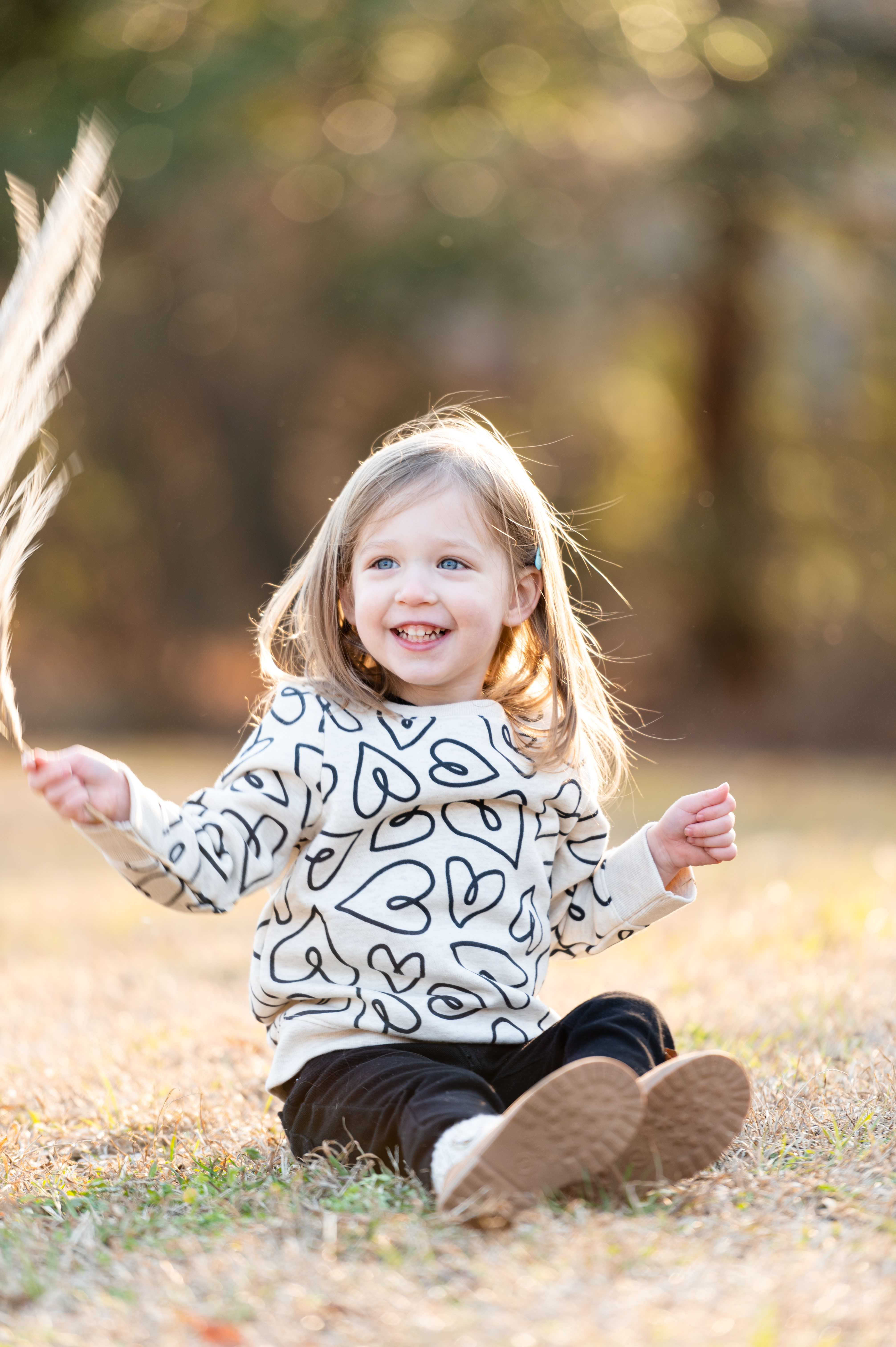 Charlotte nc family photographer.  Portrait photography in Charlotte. 