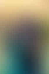 Charlotte Family Photographers.