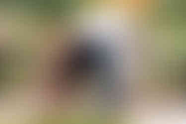 Belmont, NC Family Photographer. Fall family photos at Stowe Park and on Main Street in Downtown Belmont.