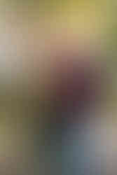 Family Portrait Photographers in Belmont, NC. Family photo at stowe park by the water fountain during fall.