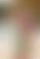 Colorful Fall Sunset Family Photos at Jetton Park in Cornelius, NC. Lake Norman Photography.