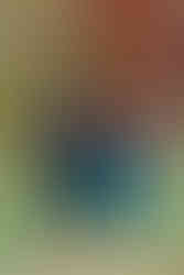 Charlotte Family Photographers.