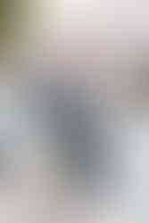 rs in Belmont, NC. Family photo in downtown.