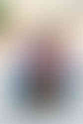 Holiday Family Photos with golden retriever dog in Downtown Belmont, NC at Stowe Park & Main Street.