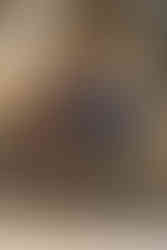 Belmont, NC Family Photographer. Fall family photos at Stowe Park and on Main Street in Downtown Belmont.