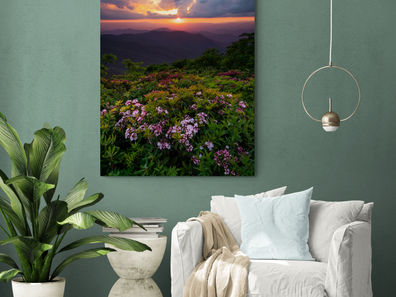 North Carolina Fine Art Nature & Landscape Photography Prints For Sale