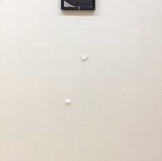 Eriko Kobayashi egg.jpeg