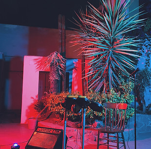 oasis creativo coworking mexico lugar naturaleza