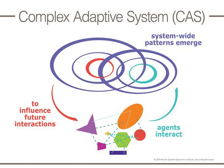 An Overview of Complex Adaptive Systems
