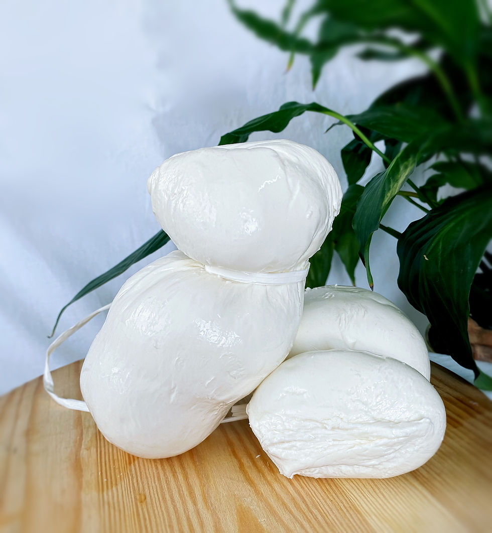 Scamorza