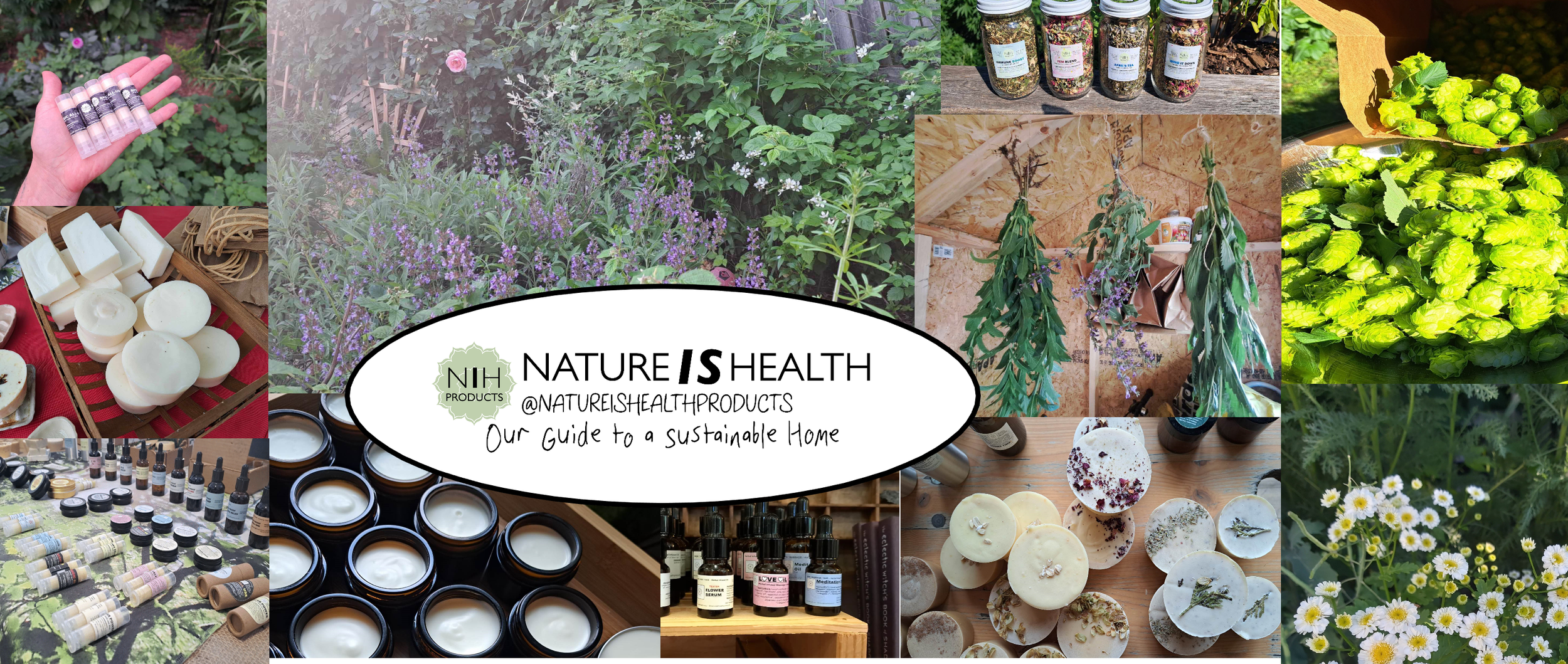NATURE IS HEALTH logo