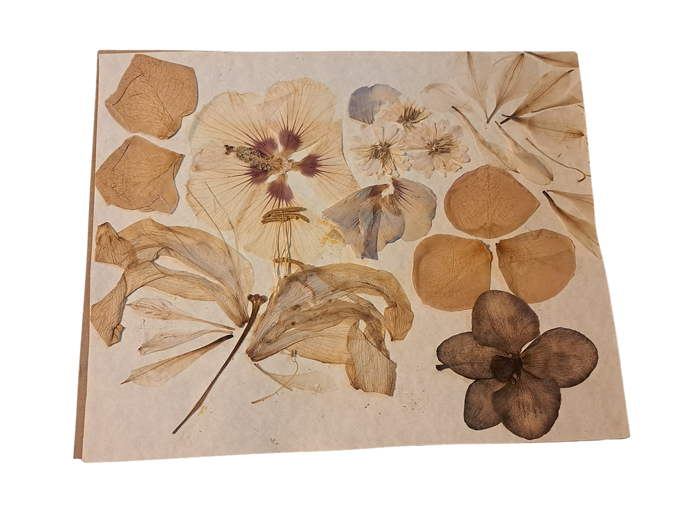 What is sustainable?