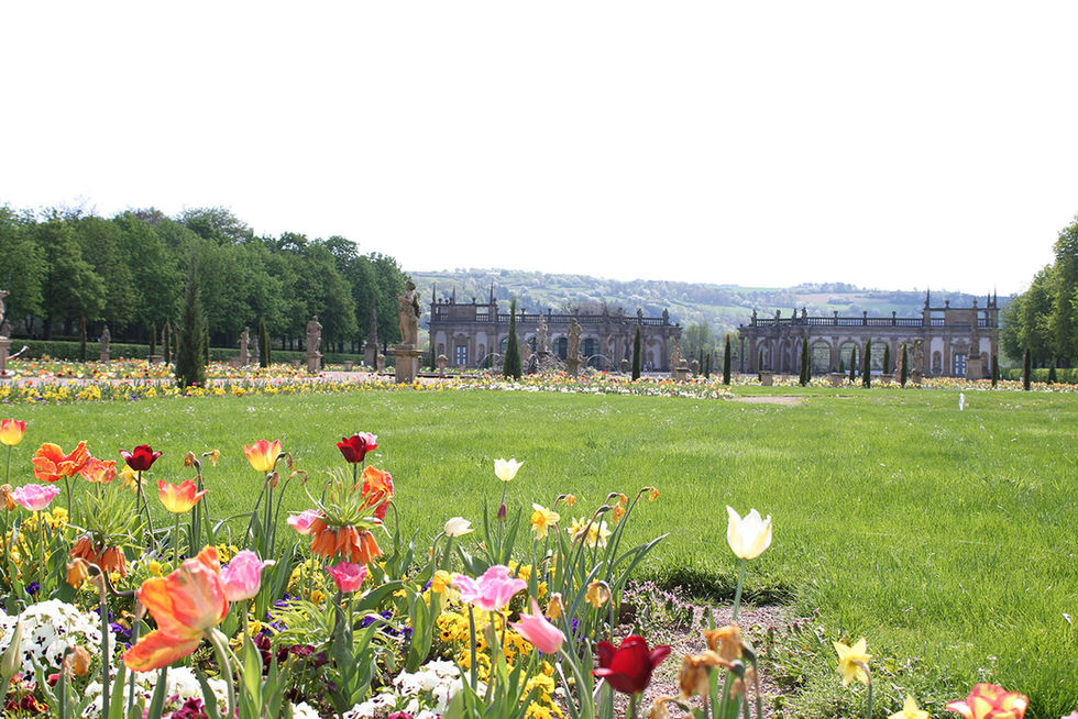 Tulpen vorm Schloss Weikersheim.