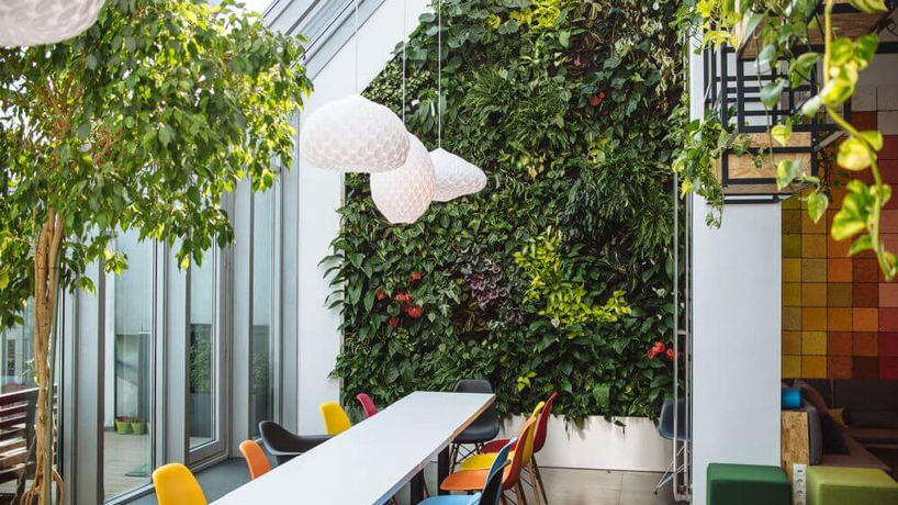 natural meeting room