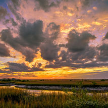 Stacey Sather Fine Art Photography2.jpg