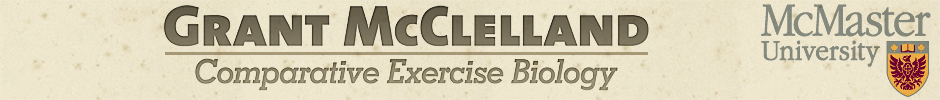 McClelland_Header.gif