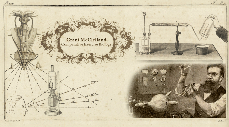 mcclelland-splashpage (1).gif