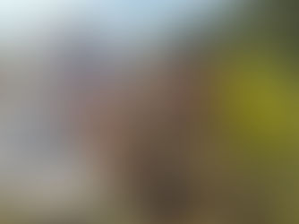 實測Redmi Note 14 Pro+ 5G︰防水防刮的遠足好拍友