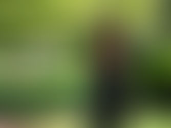 Disney+ 原創《卡戴珊家族》將於4月14日獨家上線