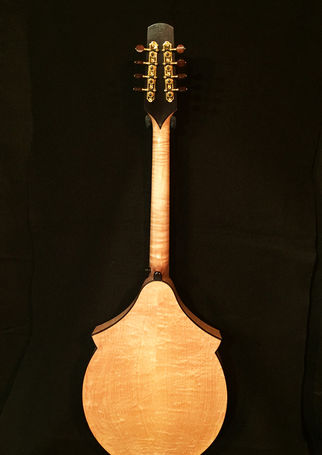Octave Mandolin bk.jpg