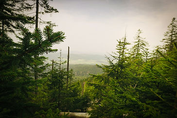 ZVE03339.jpg