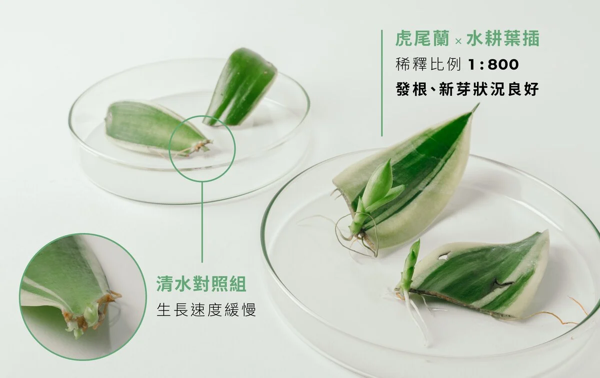 asset_547987_image_big.webp
