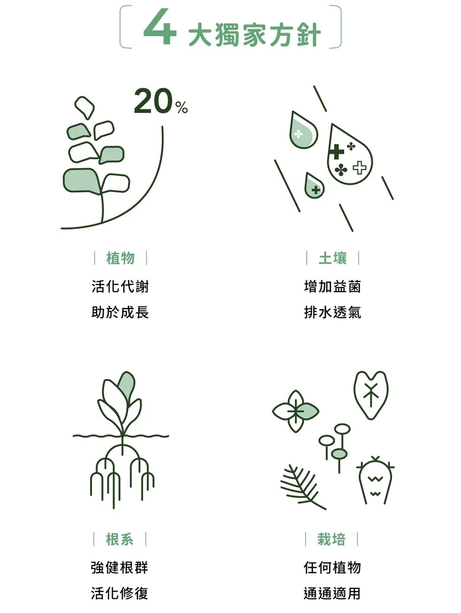 asset_563461_image_big.webp