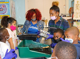 ag-experiment-lowerelem-6.jpg
