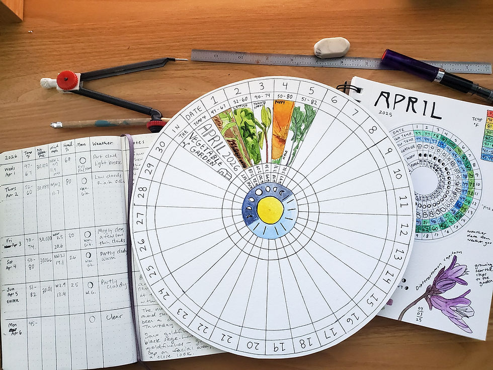 A spread of nature journals on a desk, open notebooks and a phenology wheel, surrounded by pencils, pens, drawing compass, ruler and eraser