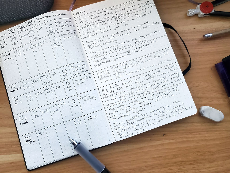 An open notebook on a desk showing chart with weather data and notes. There's a mechanical pencil resting on the journal and an eraser off to the side