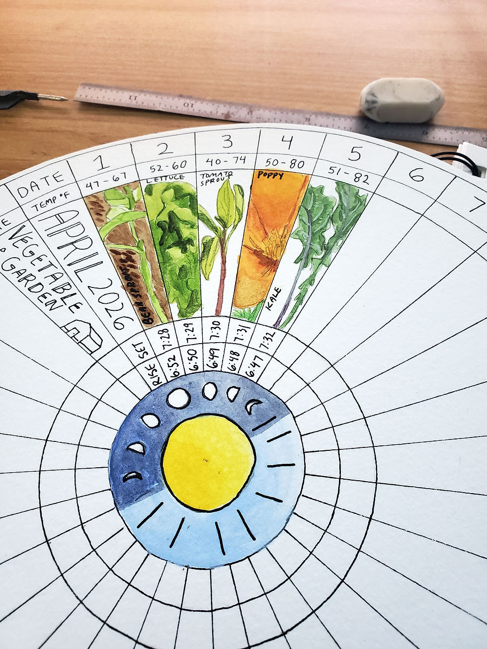 A close up of a phenology wheel that's partially filled in. It has sections divided like slices of pie with little drawings of plants in each of the first five slices.