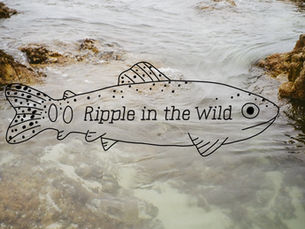 Close up rocky intertidal area with swirling ocean water in ripples. Overlay of black outline Ripple in the Wild logo which is a juvenile golden trout with Ripple in the Wild text in the middle