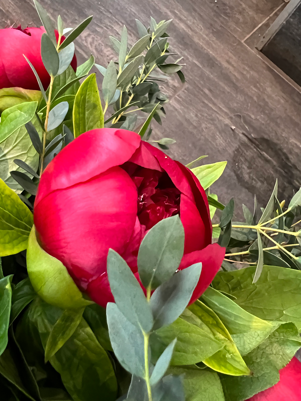 Miniature : Pivoines 