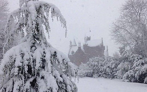 20916618_10155660371013270_1900938259_n.