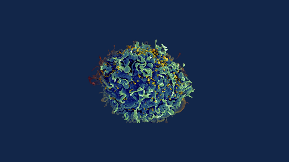 parkerlab 169 small aids.png