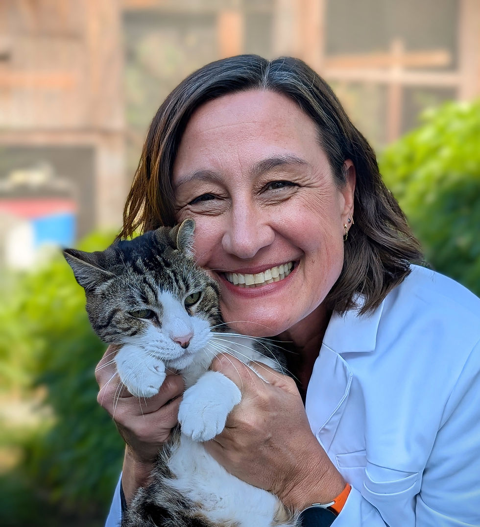 Ask The Vet: Lumps and Bumps (and when to do something about it)