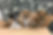 Group of pupplies in a box
